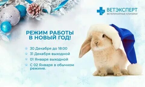 Начало новогодних праздников в 2024 году