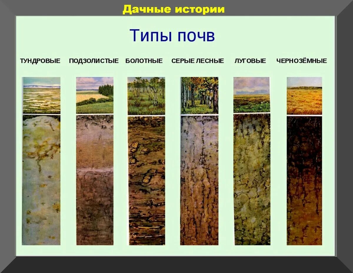 Дерново-подзолистые почвы. Дерново-подзолистые почвы осадки. Дерново-подзолистые почвы характеристика почвы. Дерново-подзолистая почва пашня