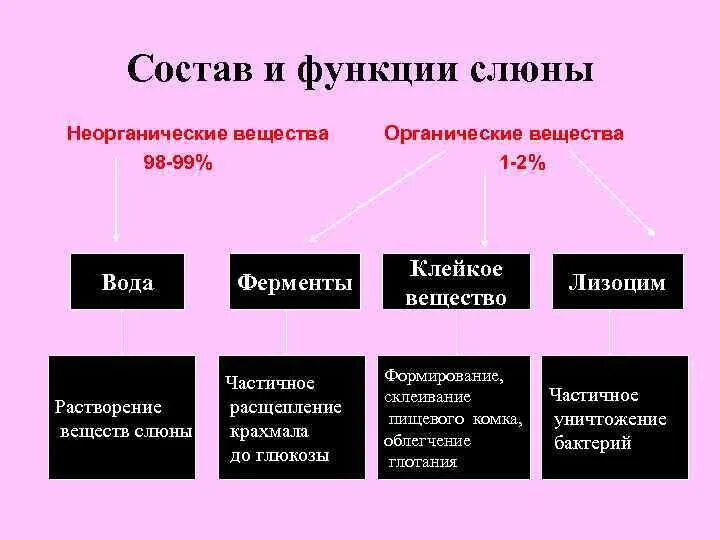 Какую функцию выполняют ферменты слюны. Состав и функции слюны. Состав слюны таблица. Состав слюны функции слюны. Ферменты слюны таблица.