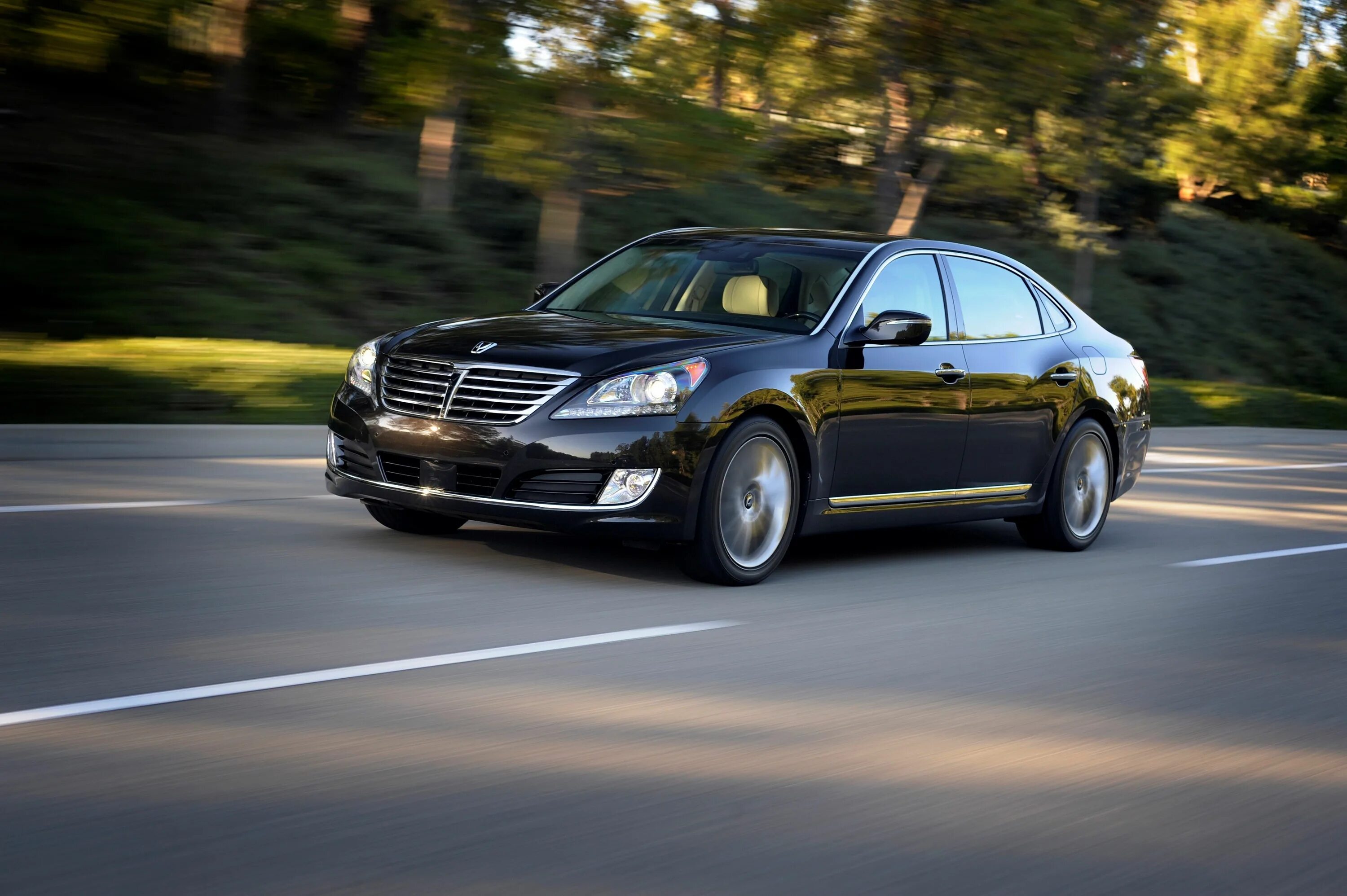 Hyundai Equus. Hyundai Equus 2002. Hyundai Equus 2. Hyundai Equus 2016. Прокат авто бизнес