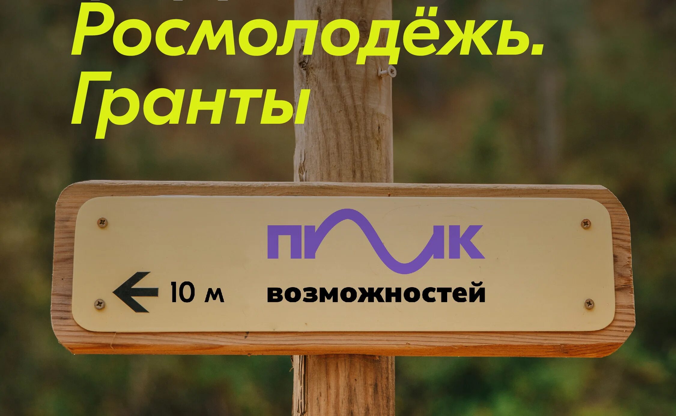 Росмолодежь пик. Росмолодёжь.Гранты «пик возможностей». Росмолодежь Гранты. Росмолодёжь.Гранты «пик возможностей» программа. «Росмолодёжь. Гранты» ВДНХ.