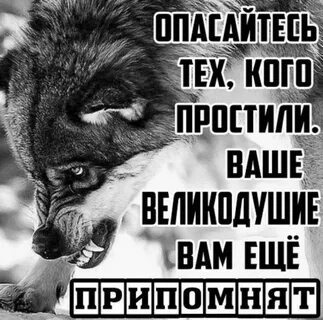 Кто то простит кто то поймет поет