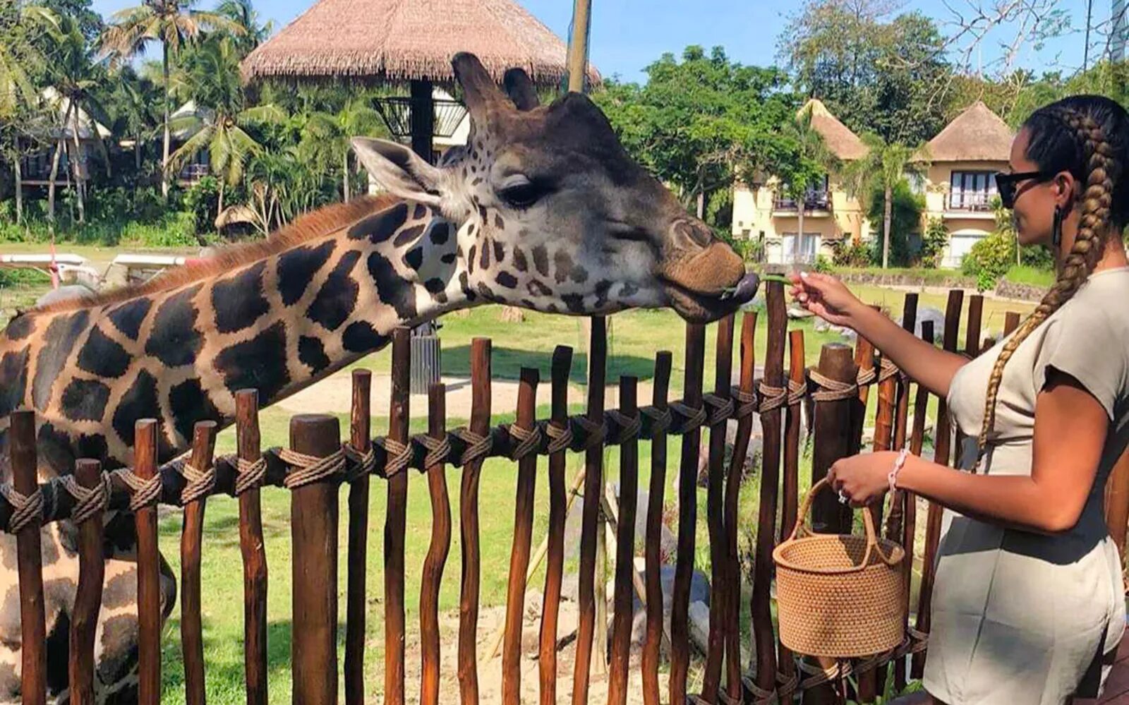 Ночное сафари на бали. Salt safari el bali inshad. Safari park hotel bali. Фукуок сафари. Сафари убуд.