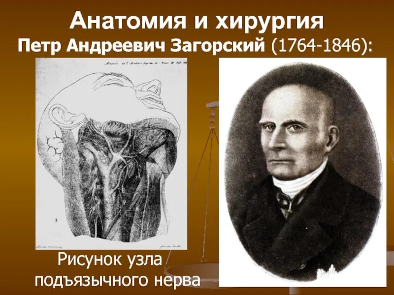 Загорский анатомия. Анатомическая школа загорского. Загорский вклад в медицину. Анатомическая школа загорского. Анатомическая школа загорского.