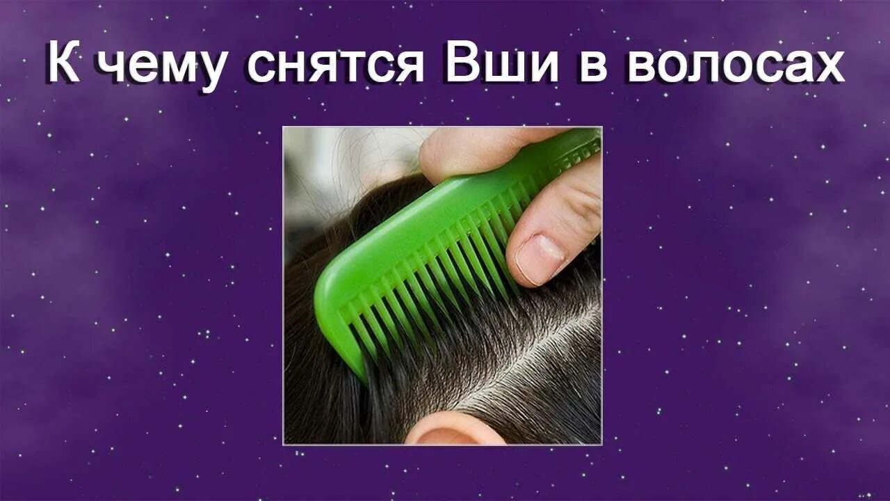 Вши во сне к чему снится женщине. К чему видеть во сне вошь. Вши во сне к чему снится женщине. К чему снится сон гниды. Вши к чему снятся сонник.