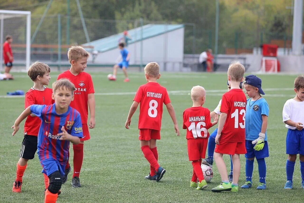 Спорт детям ростов на дону. Спартак юниор волгоград. Большой теннис для детей ростов-на-дону. Единоборства детская секция ростов. Спортивные секции.