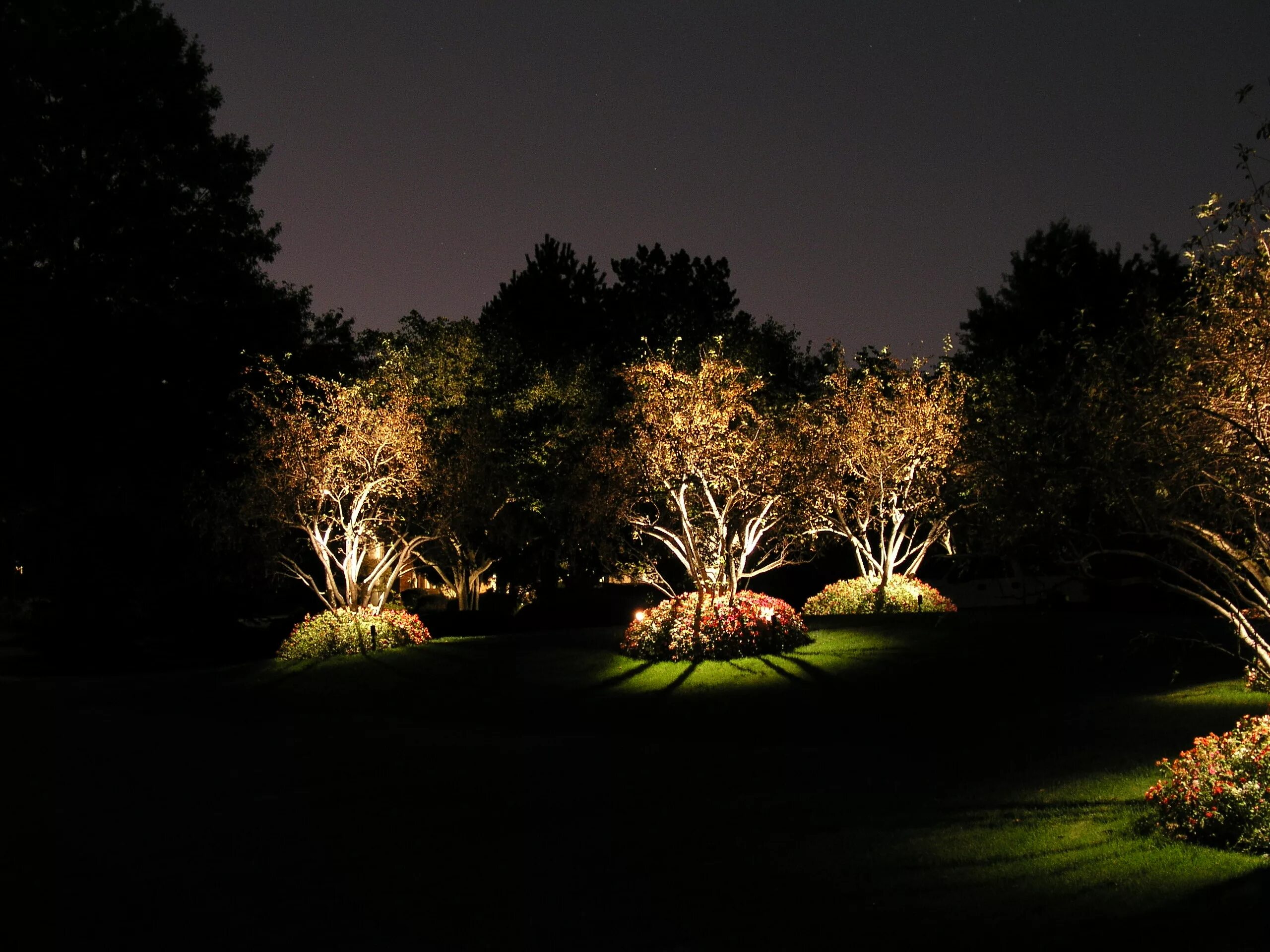 Подсветка сада. Seeming lighting. Подсветка участка. Seeming lighting. Новогоднее освещение.