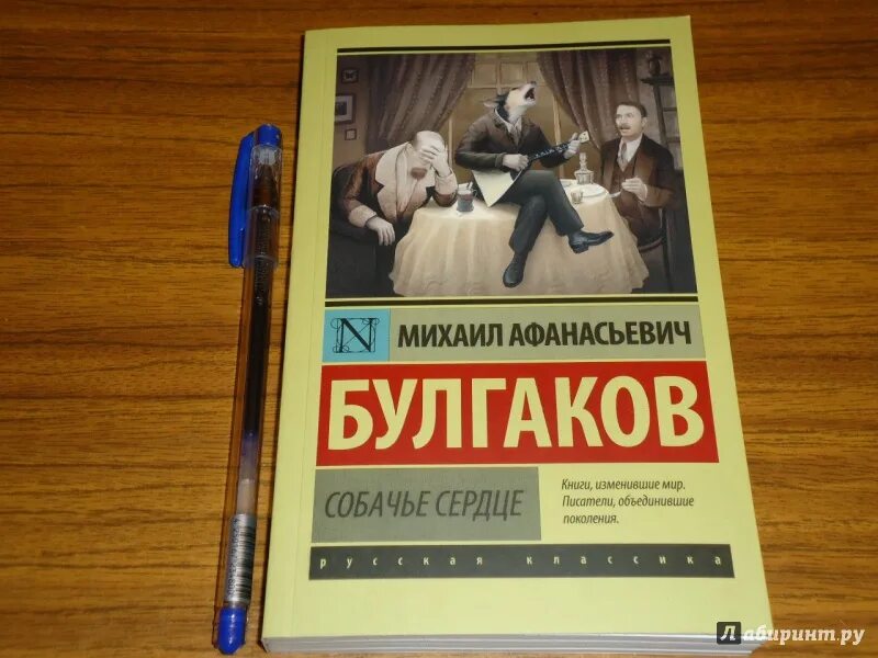 Книга «Собачье сердце». Собачье сердце обложка книги.