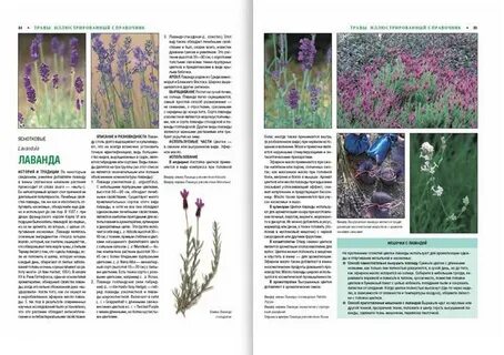 Описание растений книга