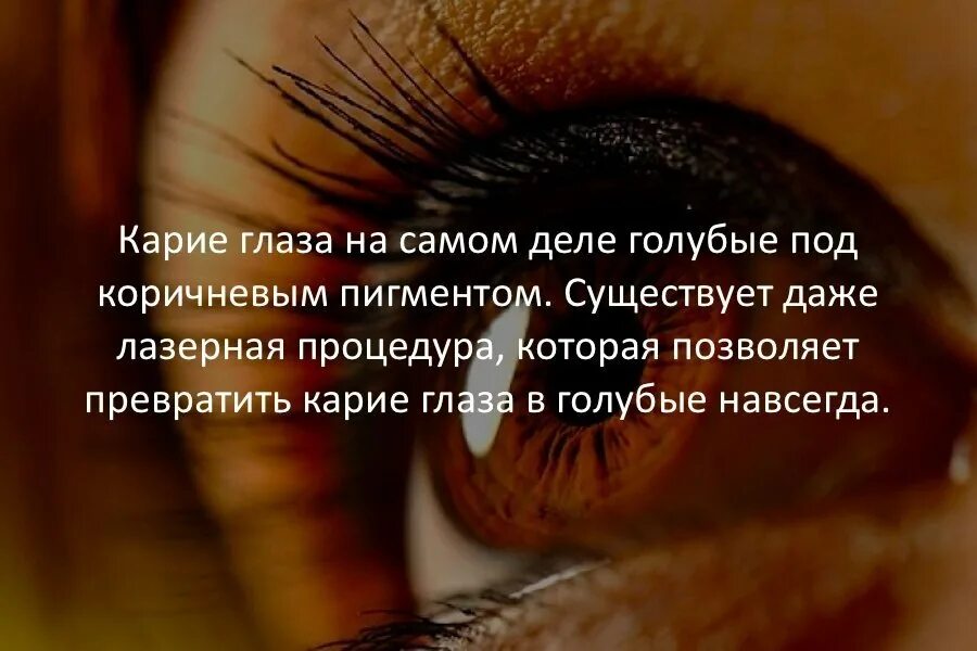 Голубые глаза под пигментом. Карие глаза факты интересные. факты о карих глазах. интересные факты о глазах.