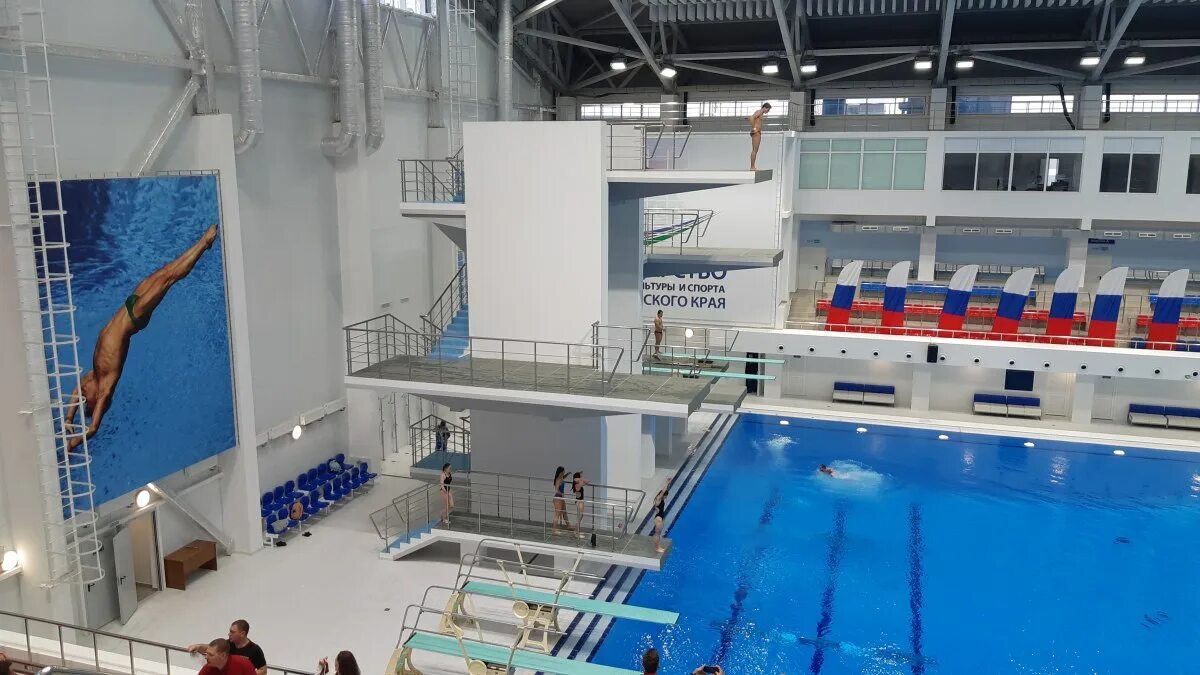 Дворец водных видов спорта екатеринбург. Дворец водных видов спорта краснодар. Бассейн дввс краснодар. Дворец водных видов спорта краснодар. Дввс краснодар.