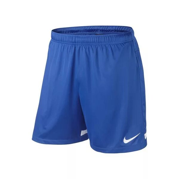 Nike Dri Fit shorts. Шорты найк ДРИ фит. Шорты Nike Dri Fit White. Шорты Nike Dri Fit мужские. Шорты nike dri