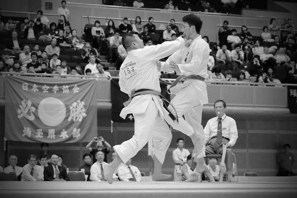 Japanese karate