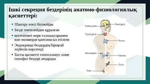 Үлкен жопа порно клиптер