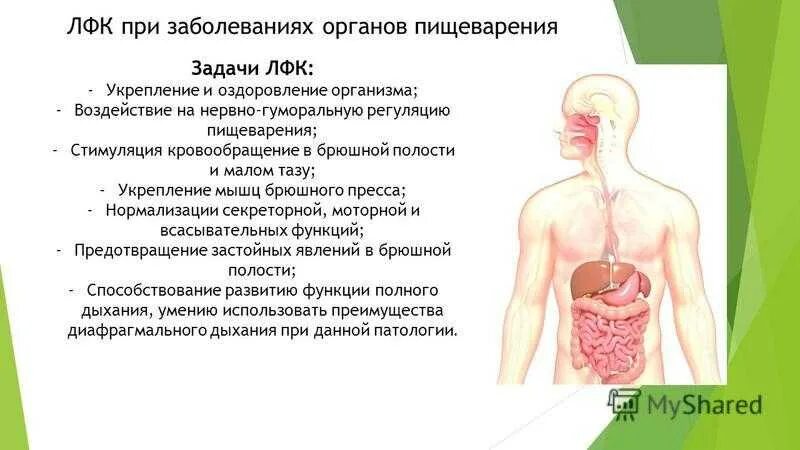 Брюшной грипп. Болезни системы пищеварения. Задачи ЛФК при заболеваниях пищеварительной системы. ЛФК при заболеваниях органов пищеварительной системы. Заболевания органов пищеварения человека.