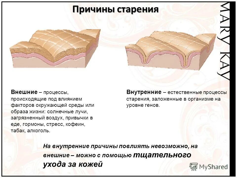 Процесс старения 5 букв. Причины старения. Процесс естественного старения. Причины старения кожи. Факторы старения.