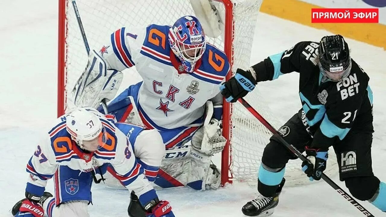 Динамо минск ска история. Trus 31 хоккей. Ска динамо москва. Кхл. Динамо минск ска история.