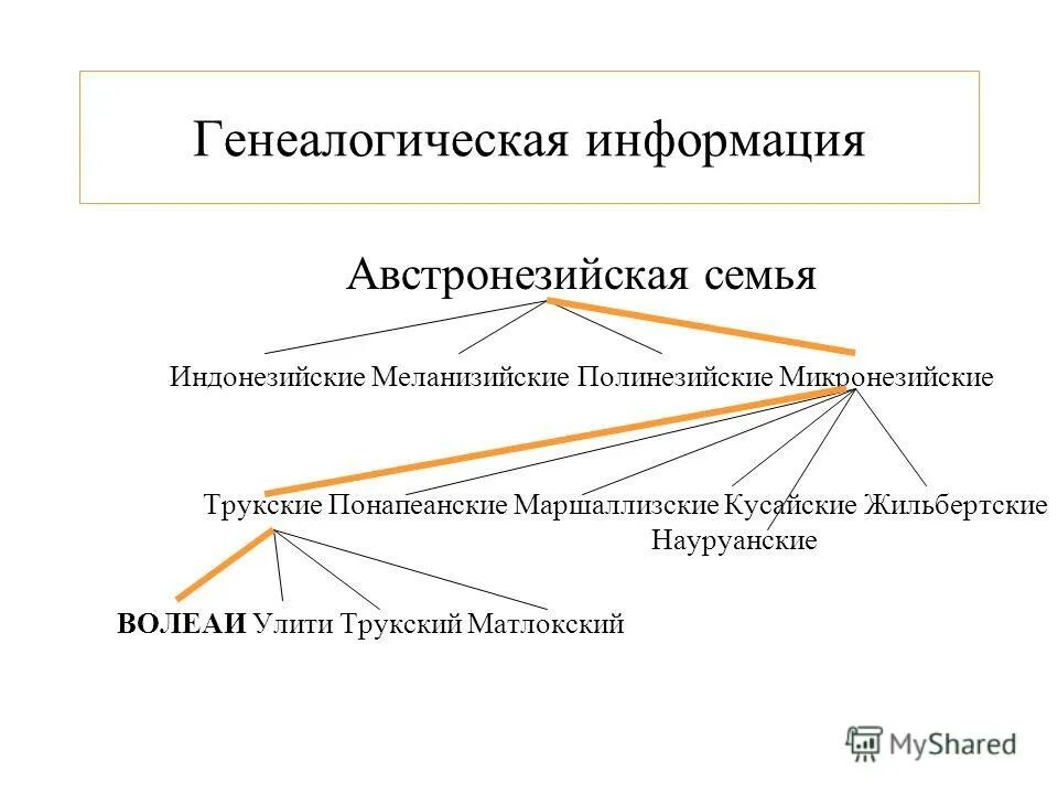 генеалогическая информация. александр сергеевич пушкин родословная. родословная по генетике обозначения. австронезийская семья языков. рюриковичи династия древо.