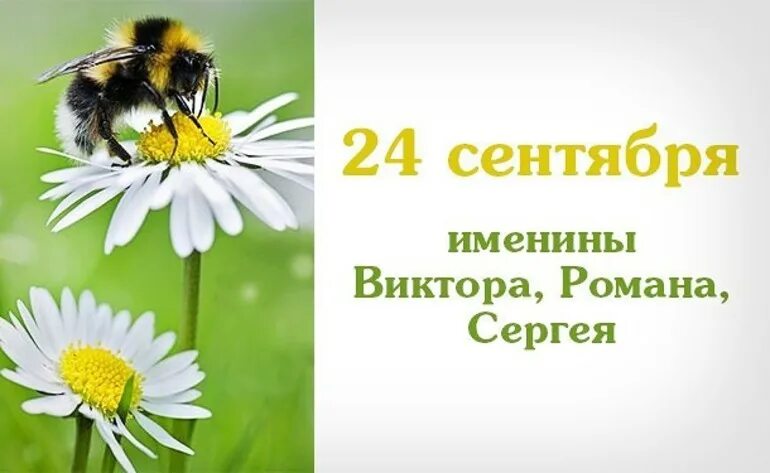 Именинники 24 ноября. Именинники 24 февраля. Именинники 24 января. 24 ноября день ангела. Именинники 24.