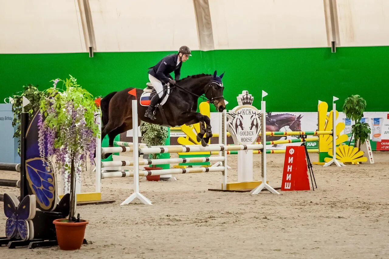 Голден хорс таганрог. Golden horse тенгинка отзывы. Конный спорт таганрог. Золотая лошадь таганрог гостиница. Кск галоп ульяновск.