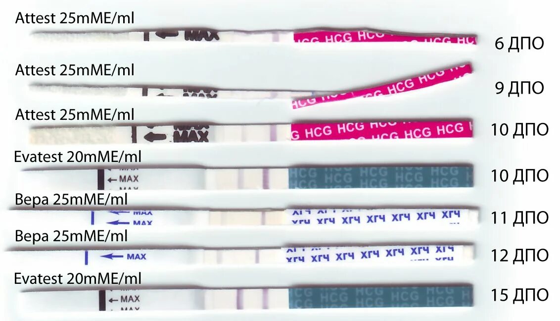 25 мме тест. 10 ДПО эвитест динамика. Тесты на беременность по дням. 7 День после овуляции. Тесты по дням после овуляции.