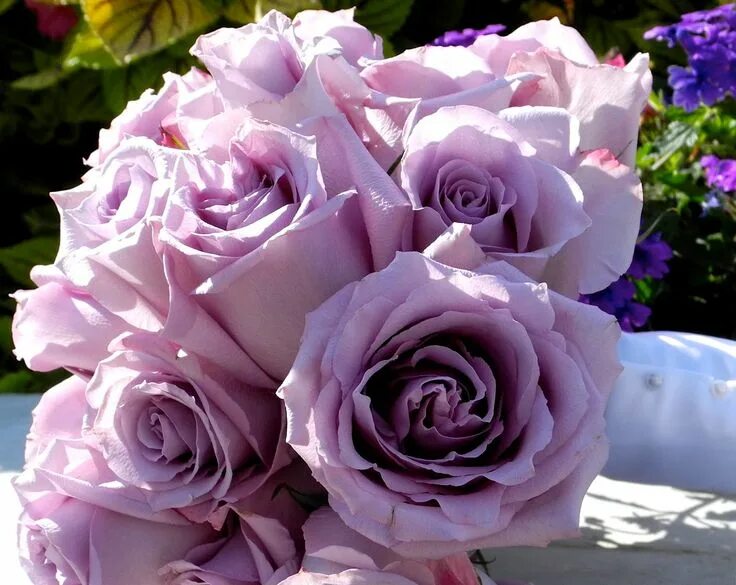 Лавендер Букет (Lavender Bouquet) * ЛПХ "КУБАНЬ РОЗА"