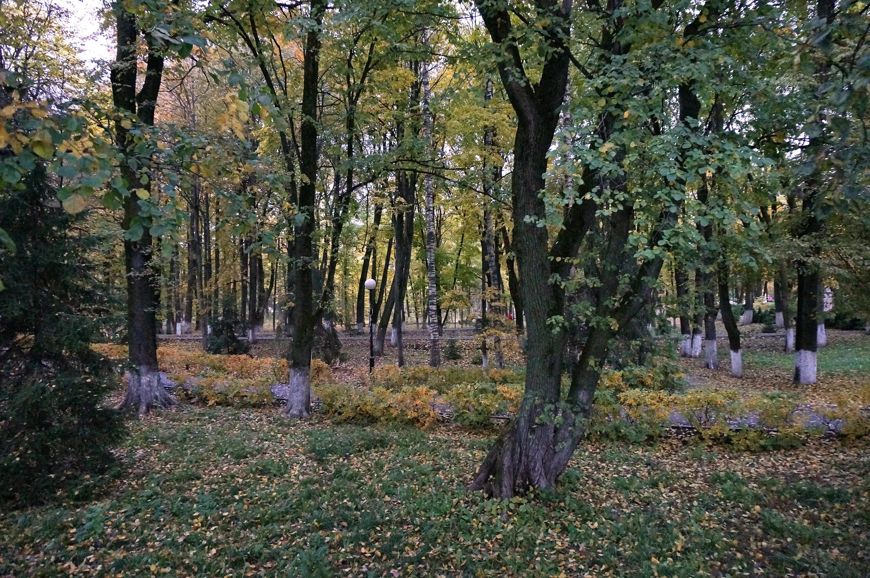 Парк победы старая русса. Курорт старая русса новгородская область. Старая русса парк курорт. Курорт старая русса пляж. Старая русса (курорт).