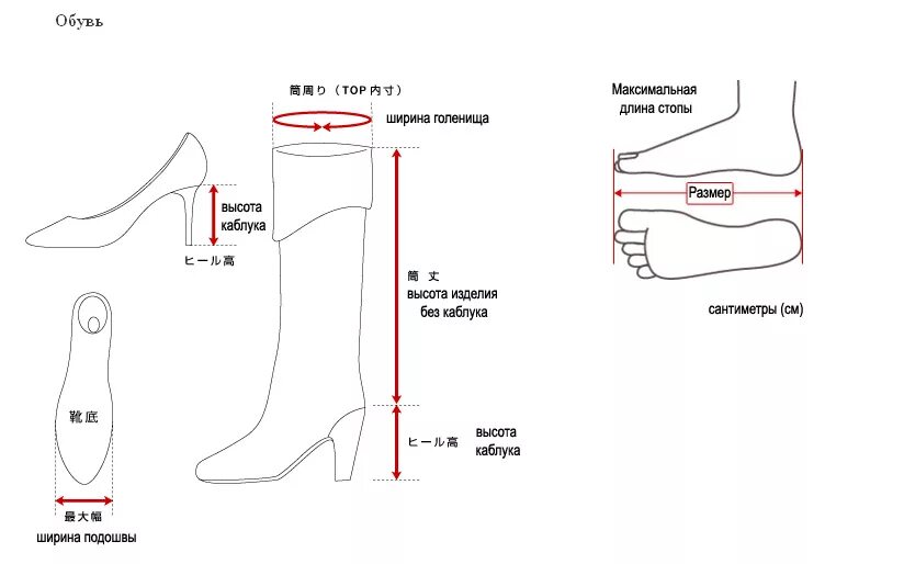 Таблица размеров голенища сапог. Голенище в обуви. Высота голенища сапога. Ширина голенища обуви. Объем голенища