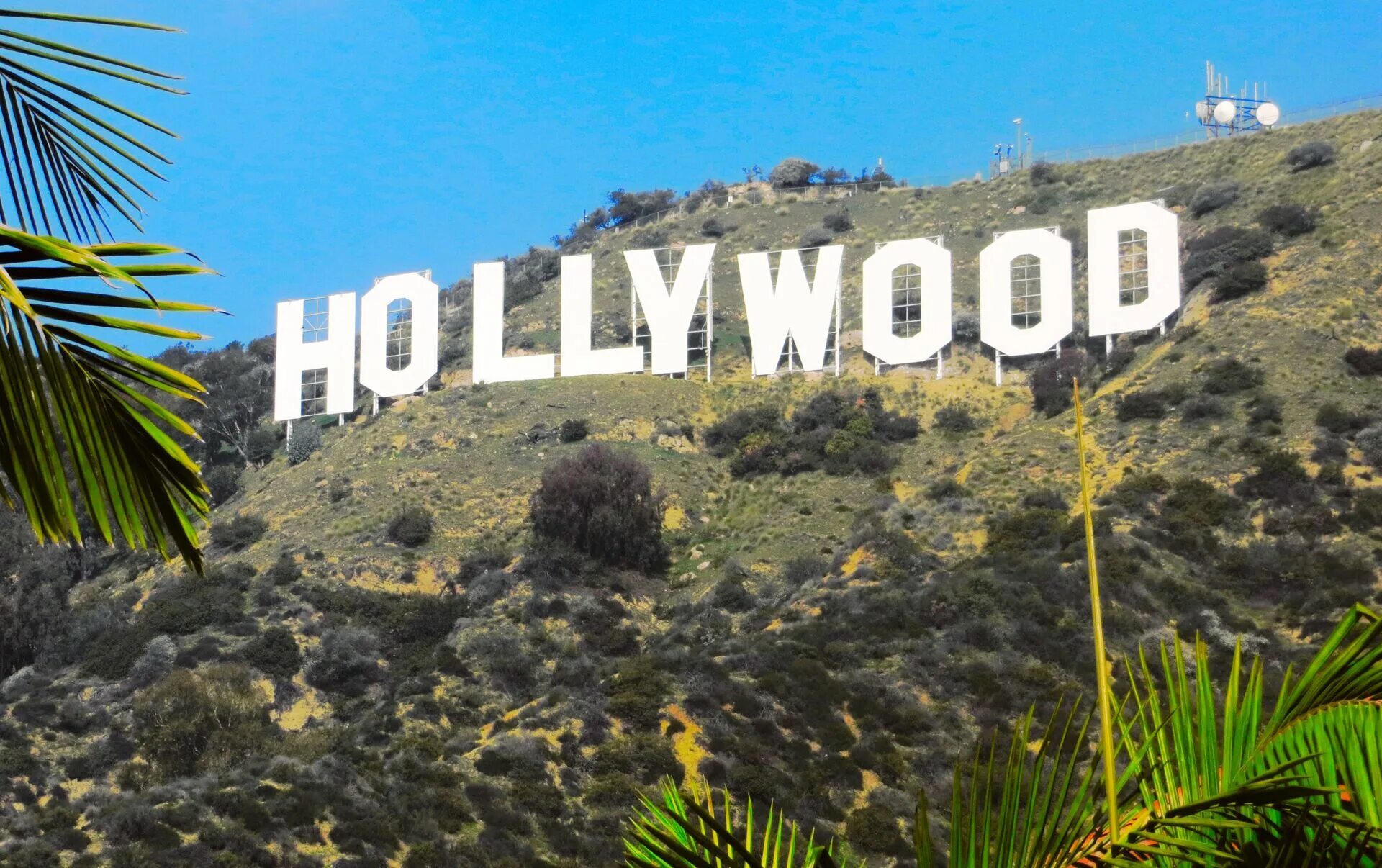 Di hollywood. Di hollywood