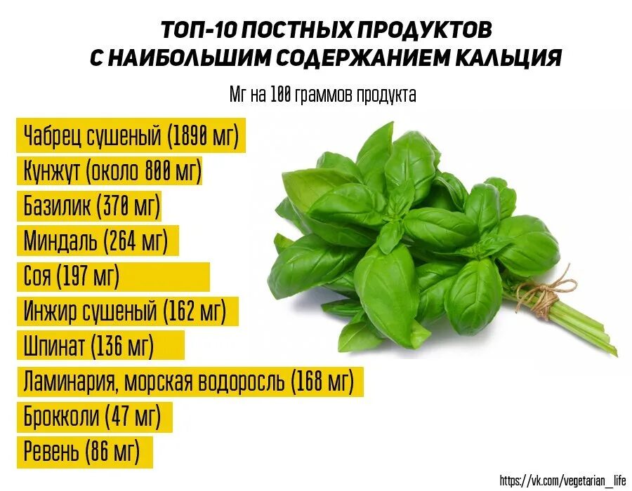 В каких растениях содержится кальций. Травы содержащие кальций. Растения содержащие кальций. Базилик кальций. Травы богатые кальцием.