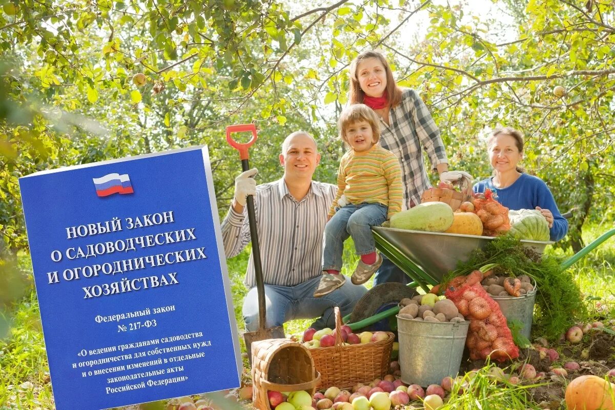 Закон о садоводстве в новой редакции. Закон о садоводстве. садоводство и огородничество. ведение садоводства. закон о садоводстве и огородничестве новый.