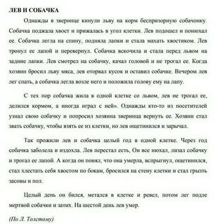 Изложения собака