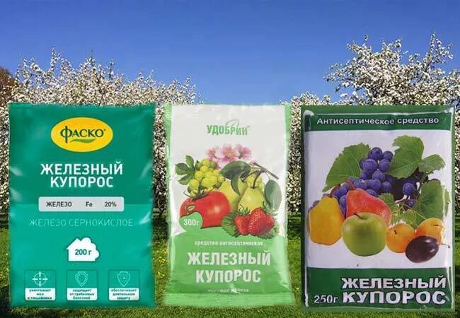 Обработка железным и медным купоросом. Железный купорос 0,2. Медный купорос обработка деревьев яблони. Jelezniy kuparos. Медный купорос и Железный купорос.