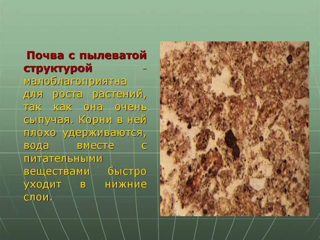 Почвы россии 4 класс 21 век презентация. Пылеватая почва. Структура почвы. Почвенная структура. Структура почвы виды.