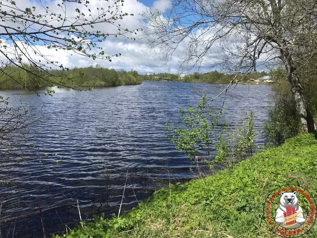 Погода бережное вологодской. Село бережное Усть-кубинский район Вологодская область. Заборье Усть-кубинский район. Вологодская область, р-н. Усть-кубинский, с. Устье, ул. зеленая. Бережное Вологодская область Усть кубинский фото.