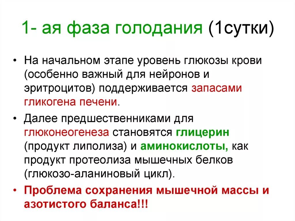 Голодать голод. Этапы голодания. Стадии при голодании. Голодание стадии этапы. Этапы лечебного голодания.