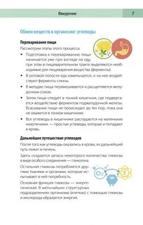 Сахарный человек 1 типа
