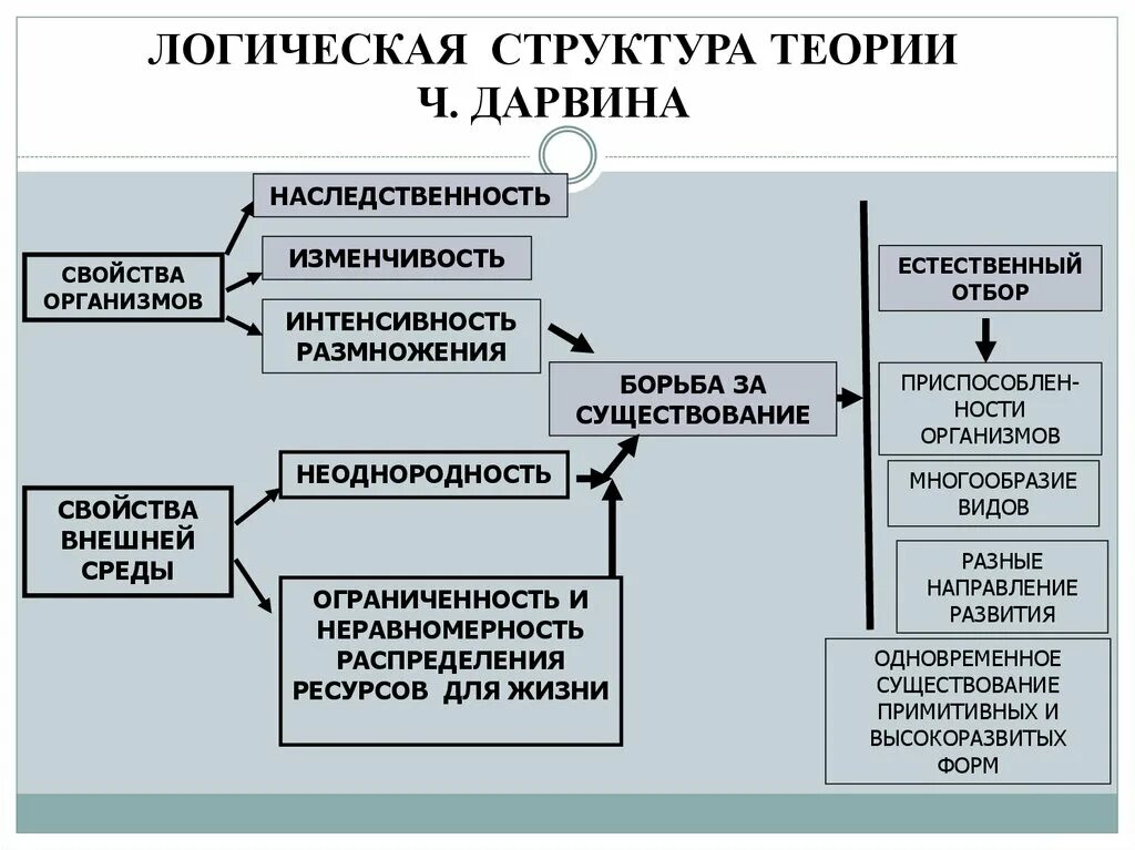 Логическая структура теории ч.Дарвина. Логическая схема теории Дарвина. Структура эволюционной теории. Логическая схема эволюционной теории Чарльза Дарвина.