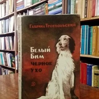Г н белый бим черное ухо