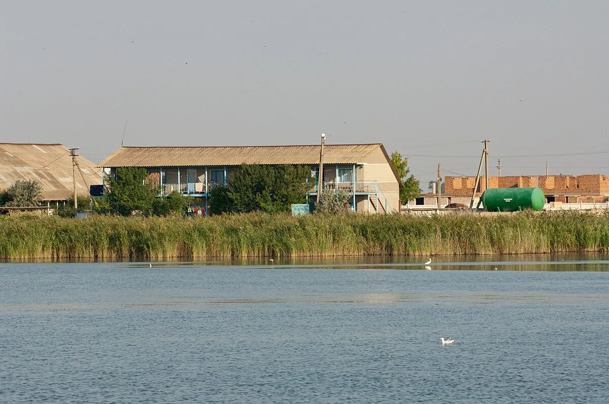 Татарбунары. Приморское Одесская область Татарбунарский район. Село Приморское Татарбунарский район Одесская область.