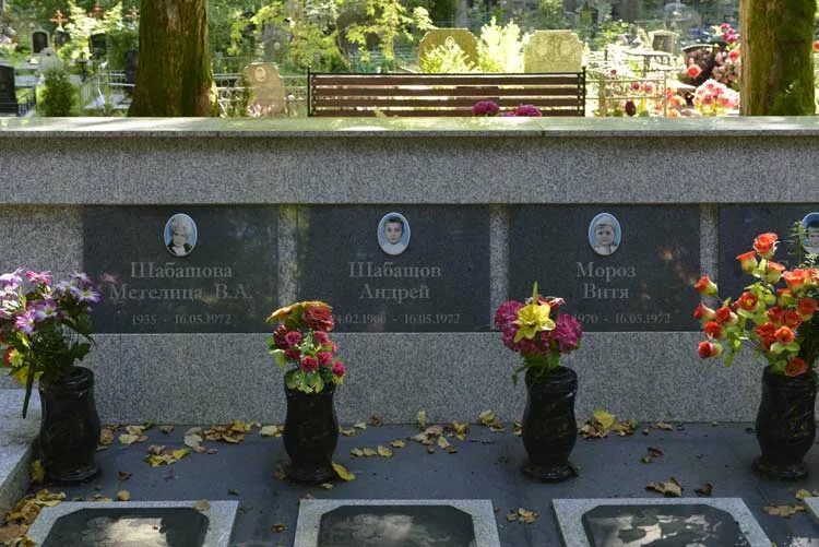 самолёт упал на детский сад в светлогорске в 1972. трагедия в светлогорске в 1972 году. трагедия в светлогорске в 1972 году. светлогорск детский сад катастрофа 1972. катастрофа ан-24 в светлогорске.