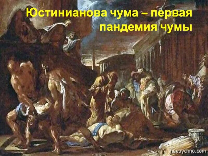 Чума немецкий