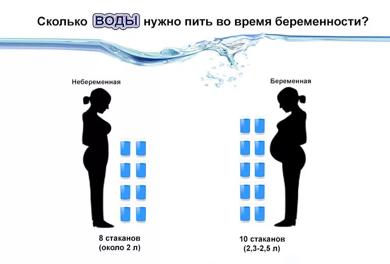 Сколько можно пить при беременности
