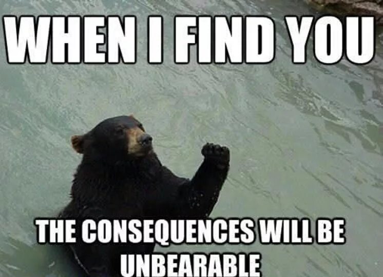 When i find. You are tearing me apart lisa. when you find me трек. consequences meme.