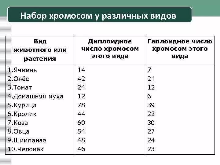 Число хромосом у растений. Число хромосом у животных и растений. Число хромосом у разных видов животных. Количество хромосом таблица.