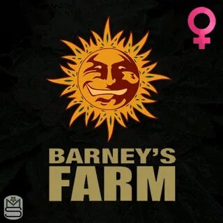 Barney farms