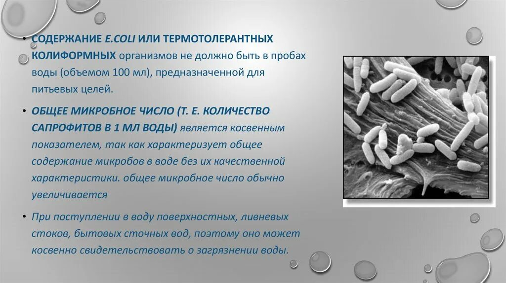 Обобщенные бактерии в воде. Сапрофиты в воде. сапрофиты в питьевой воде нормы. сапрофиты в воде норма.