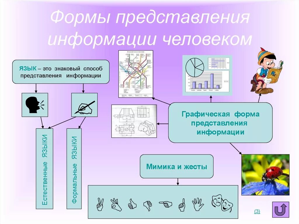 Представление информации в виде презентации. Способы представления информации. Формы представления информации. Формы представления инф. Графический способ представления информации.