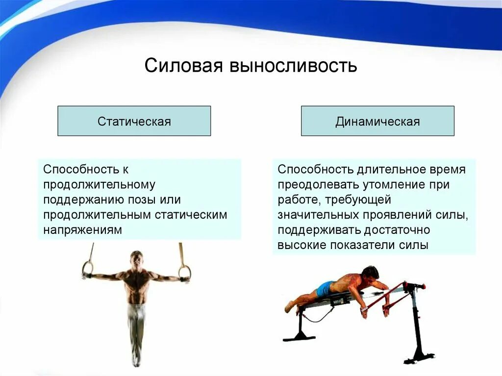 Динамическая нагрузка мышц. Упражнения на выносливость. Виды силовой выносливости. Психологическая выносливость. Силовая выносливость упражнения.