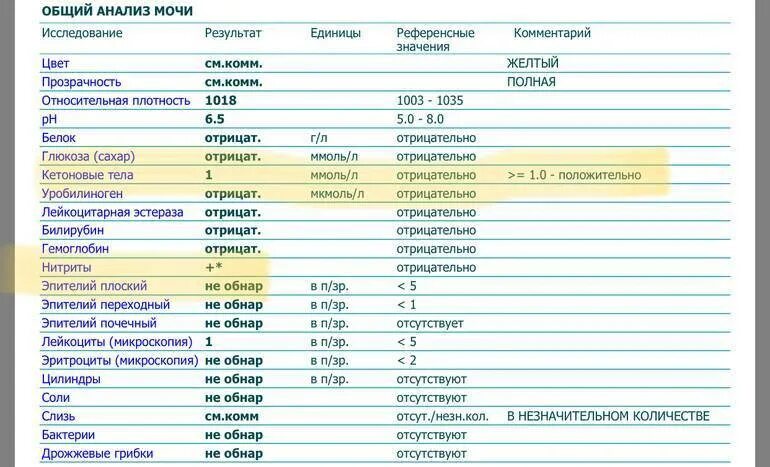 Норма лейкоцитов 3 триместр. Норма лейкоцитов в моче в 1 мл. Кетоновые тела общий анализ мочи у детей. Нормальные показатели анализа мочи общий и по Нечипоренко. Анализ мочи кетоновые тела норма.